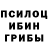 Псилоцибиновые грибы Psilocybine cubensis Elena Korolenko